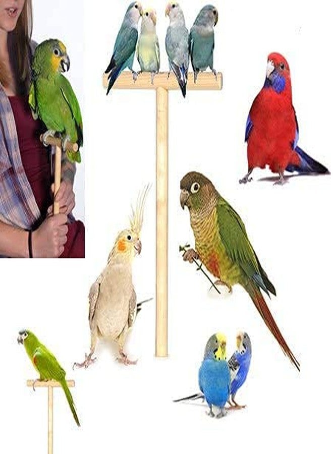 Western Era Hand Held Stand for Handling Birds, Taming and Trainning for Small, Medium & Large Birds - Image 1